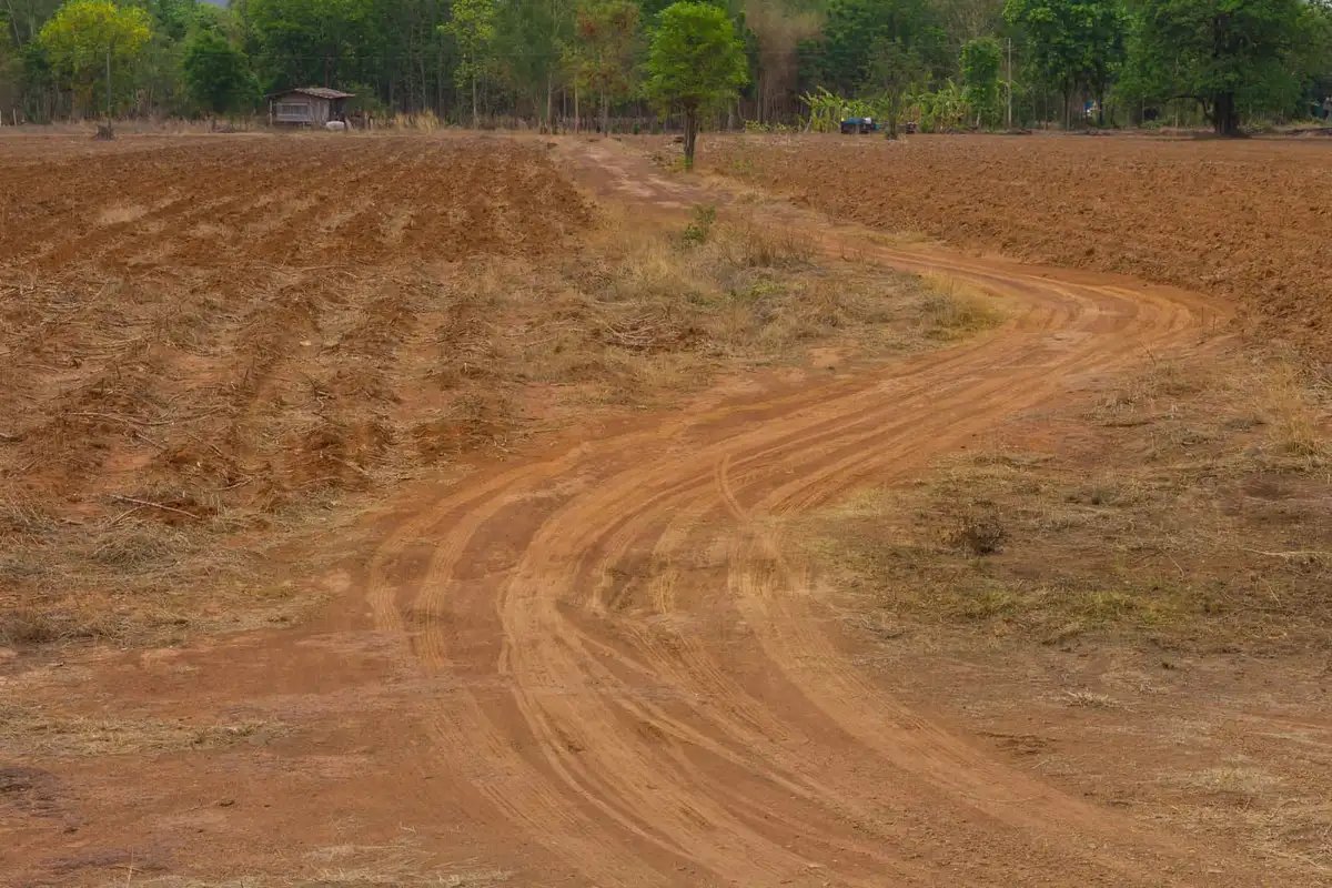 Prepared farmland with internal dirt access road and cleared agricultural plots, illustrating modern farm infrastructure and site development.